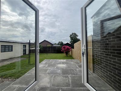 Picture 8